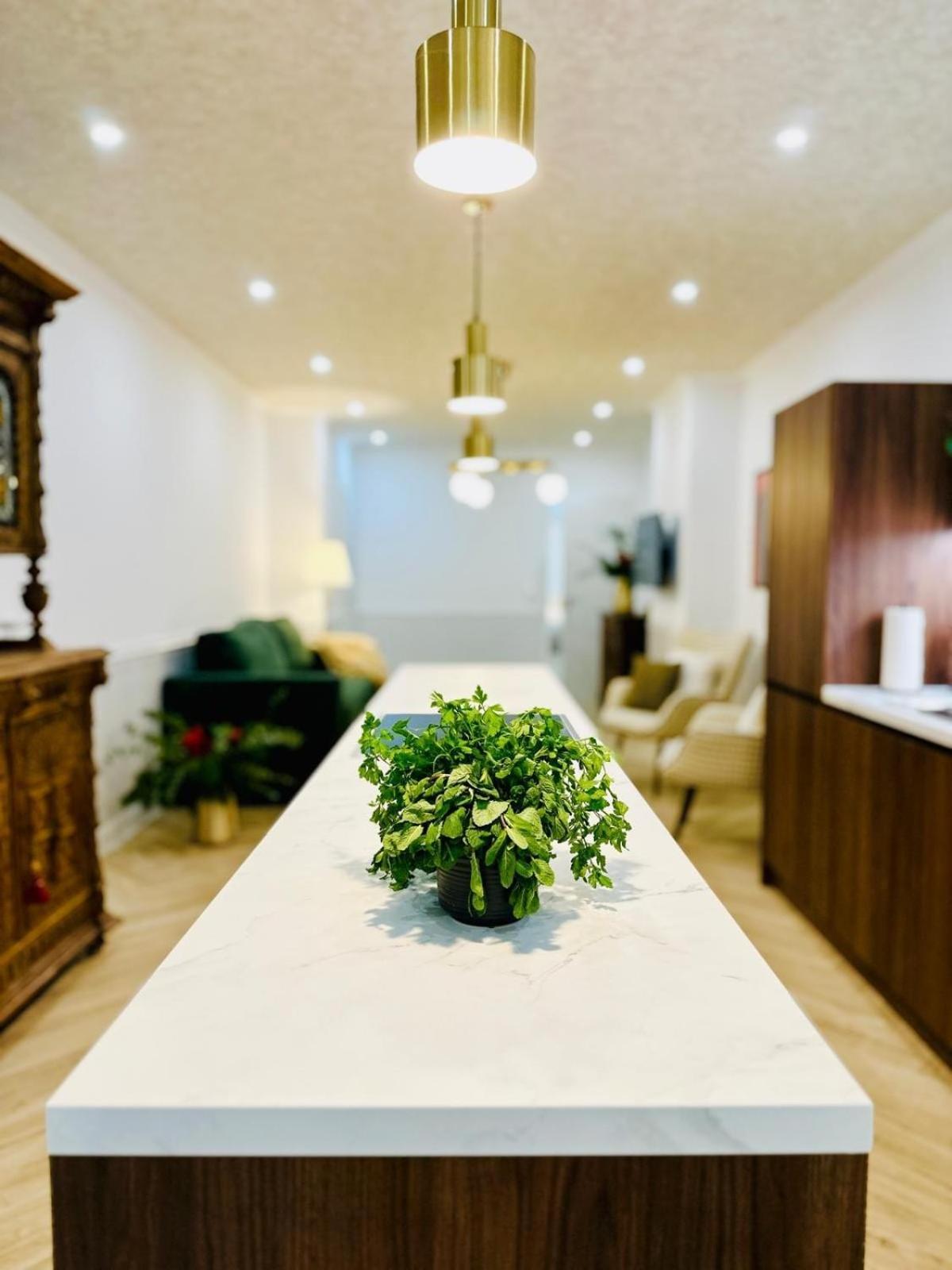 Large With Terrace - Very New Apartment *